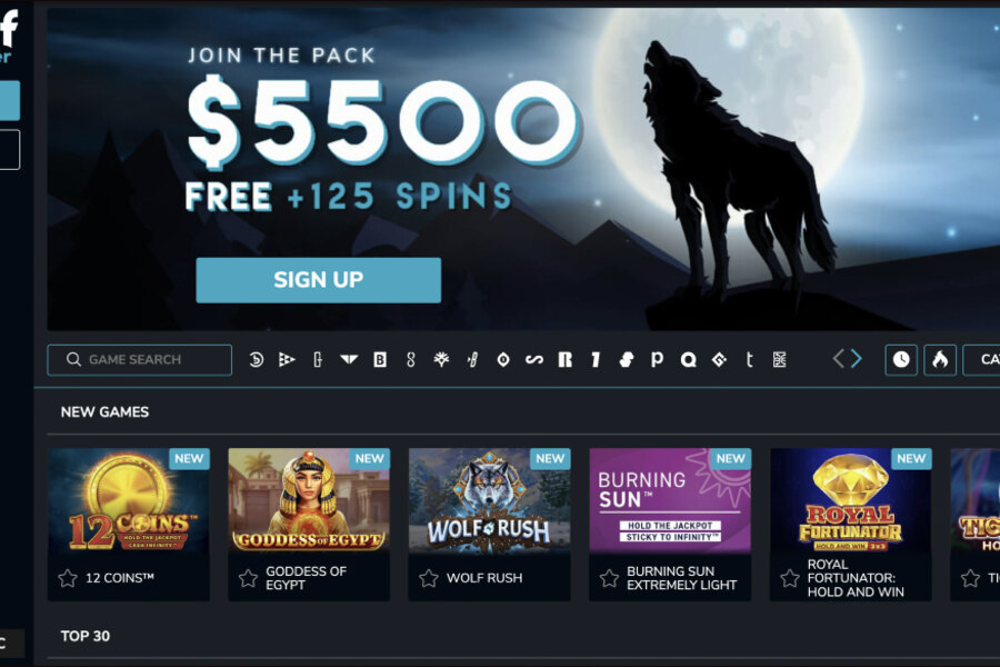 Wolf Winner Casino Login: Sign In to Your Account